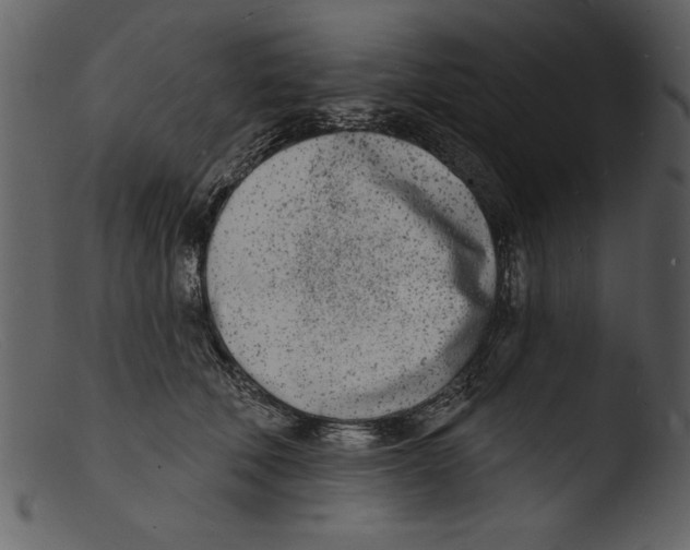 X0000103300610200809261315