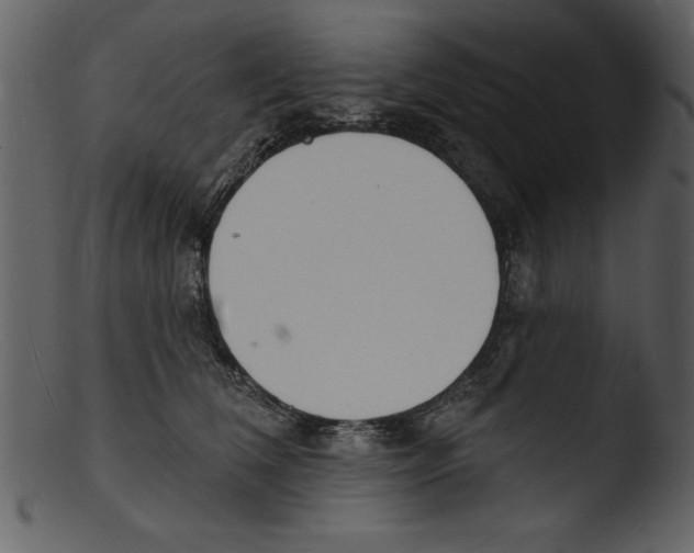 X0000103300612200809261315