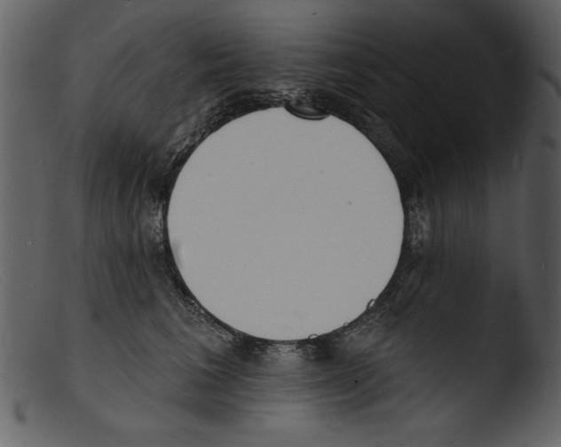 X0000103300613200809261315