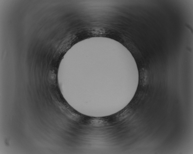 X0000103300614200809261315