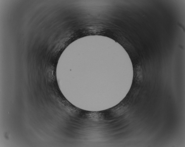 X0000103300615200809261315