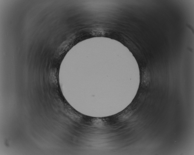 X0000103300616200809261315