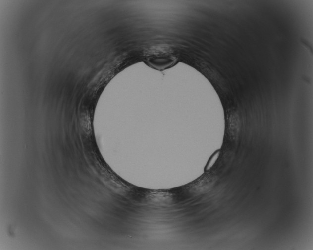 X0000103300617200809261315