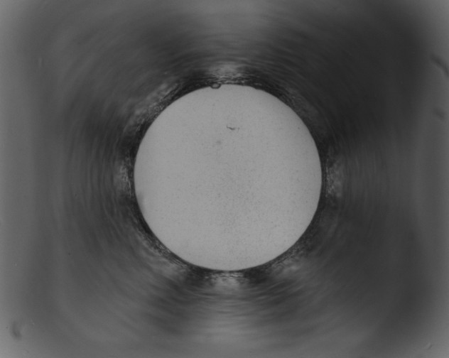 X0000103300618200809261315