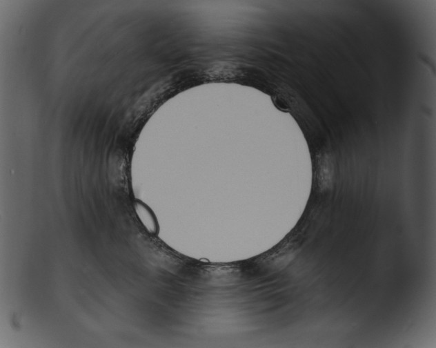 X0000103300619200809261315