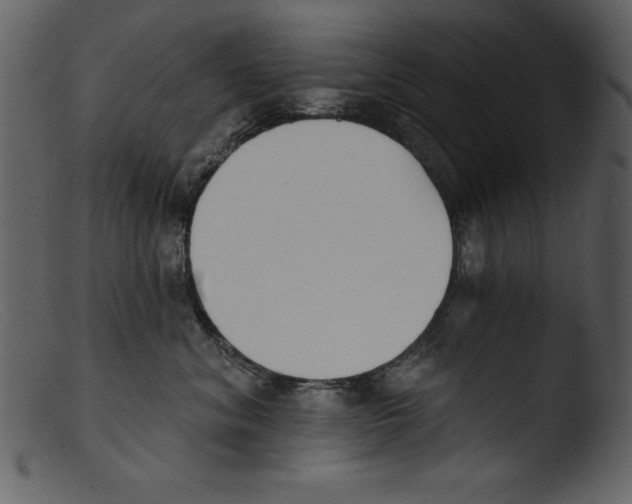 X0000103300620200809261315