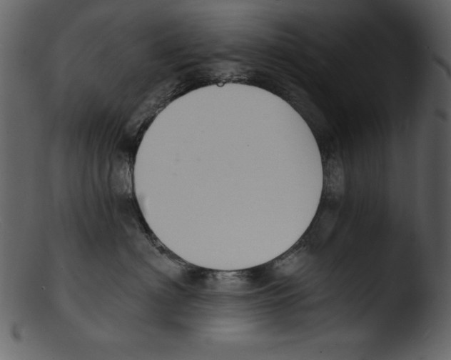 X0000103300622200809261315