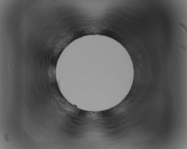X0000103300624200809261315