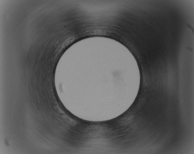 X0000103300625200809261314
