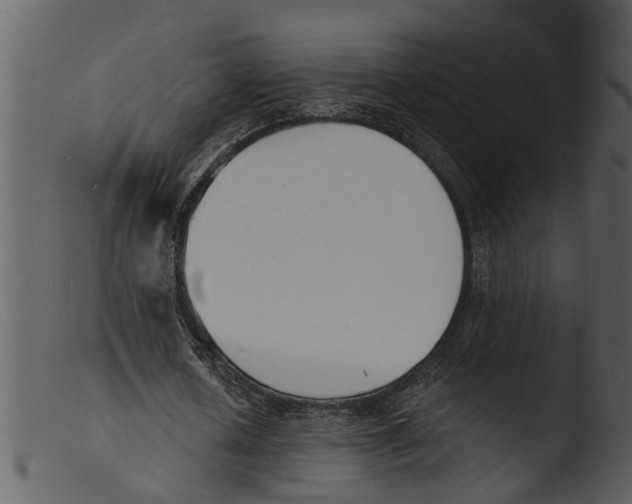 X0000103300626200809261314