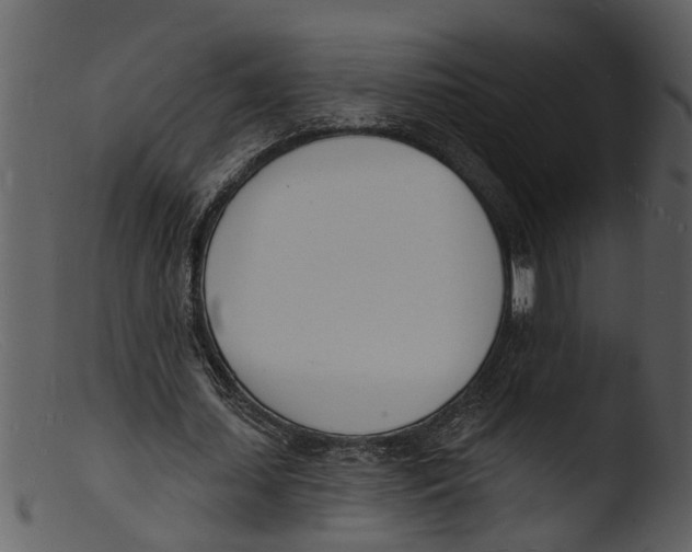 X0000103300627200809261314