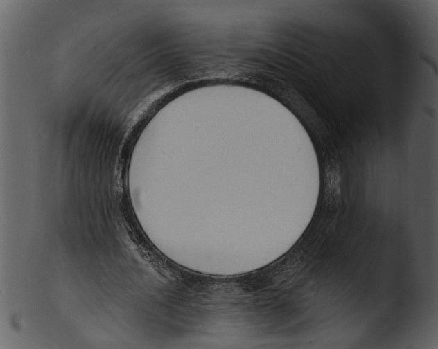 X0000103300628200809261314