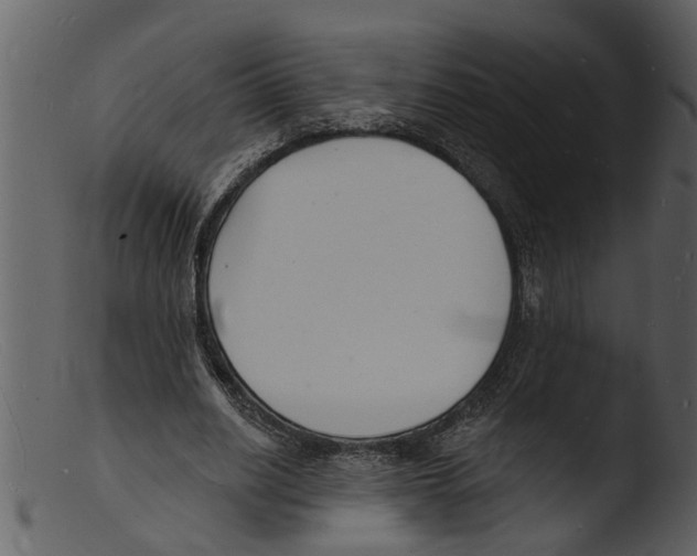 X0000103300630200809261314
