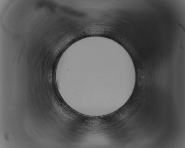 X0000103300631200809261314