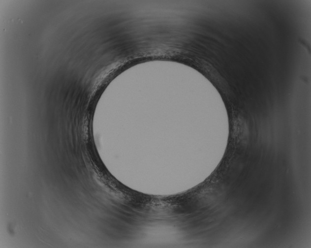 X0000103300632200809261314
