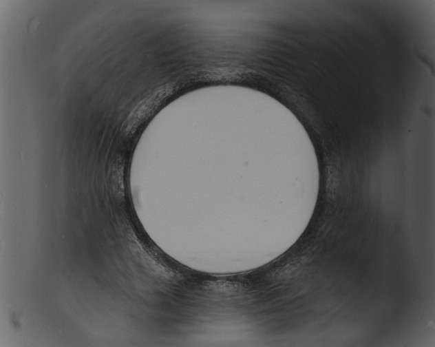 X0000103300633200809261314
