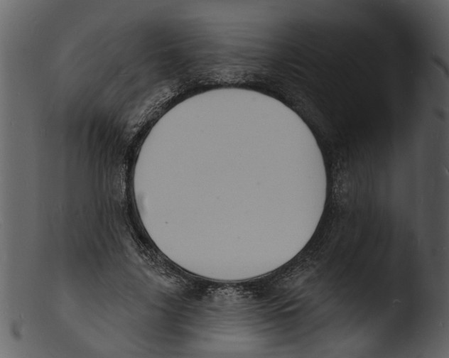X0000103300635200809261314
