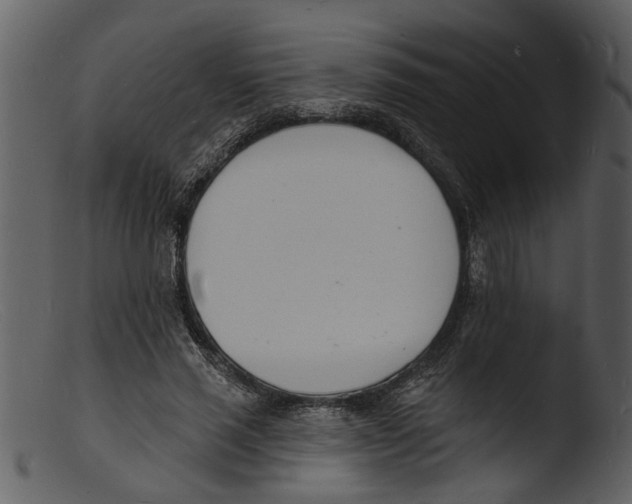 X0000103300637200809261314