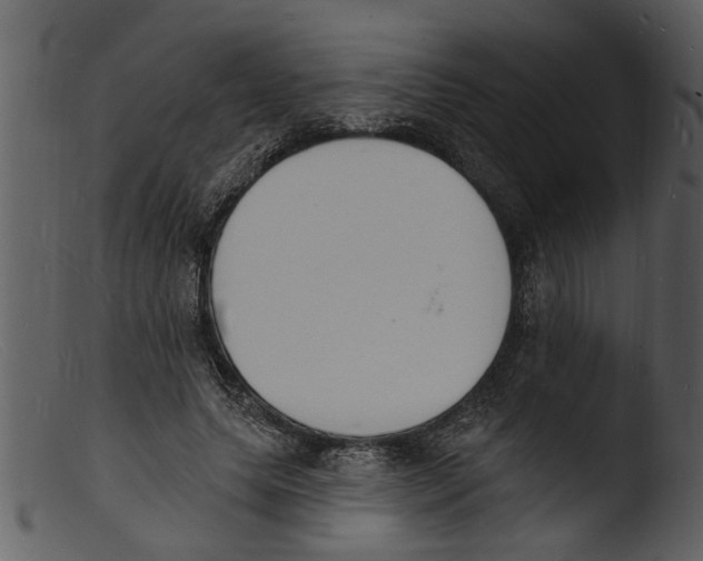 X0000103300639200809261314