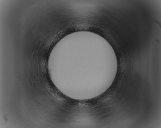 X0000103300641200809261314