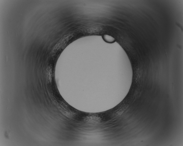 X0000103300644200809261314