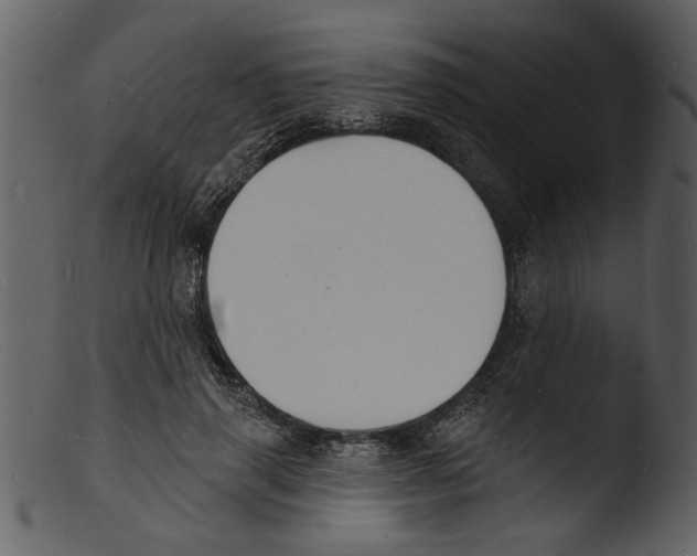 X0000103300645200809261314
