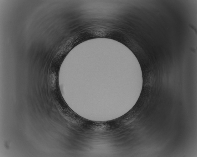 X0000103300646200809261314
