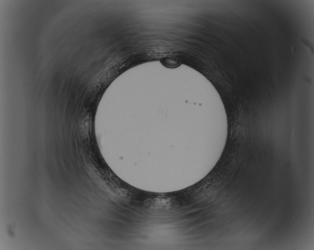 X0000103300647200809261314