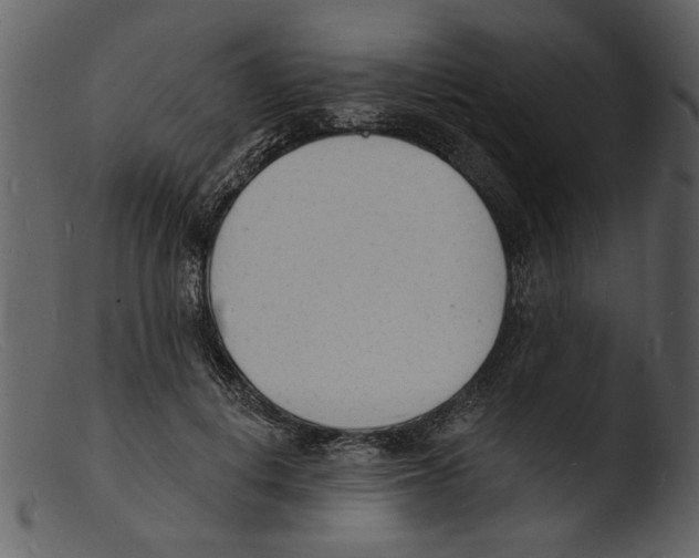 X0000103300648200809261314