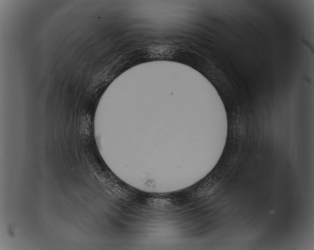 X0000103300649200809261314