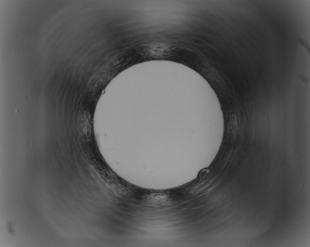 X0000103300651200809261314