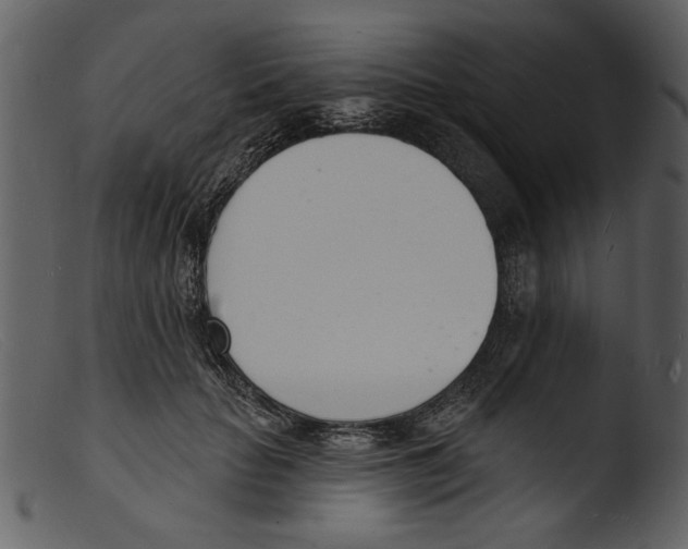 X0000103300653200809261314