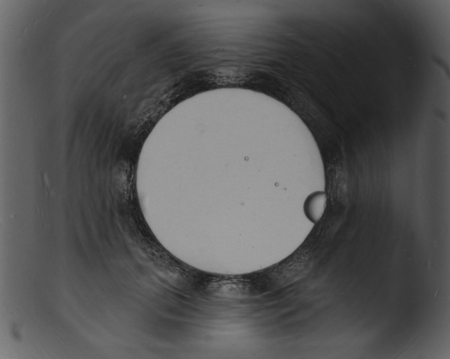 X0000103300655200809261314