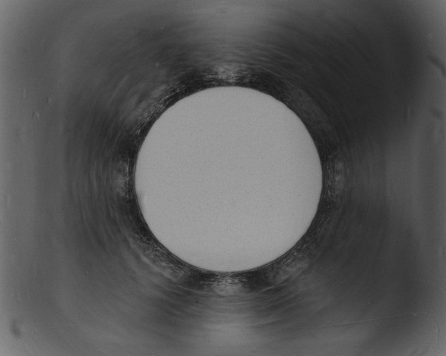 X0000103300656200809261314