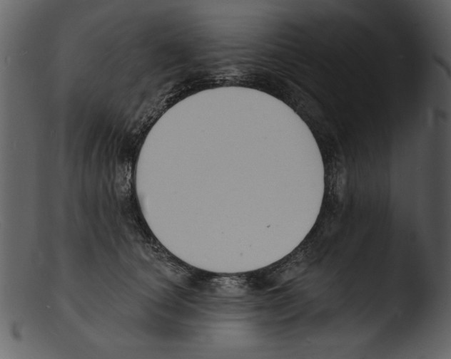 X0000103300660200809261314