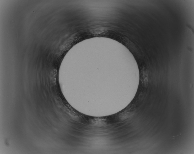 X0000103300664200809261314