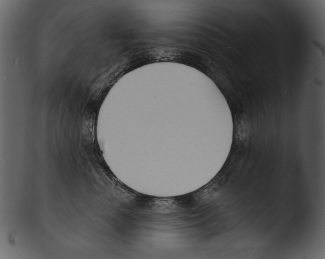 X0000103300666200809261314