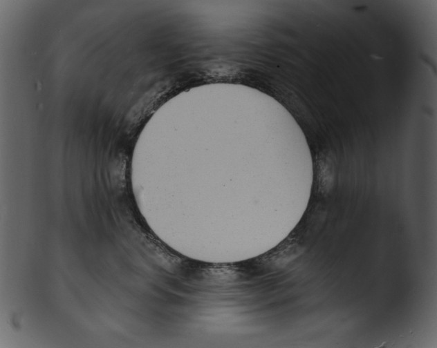 X0000103300668200809261314