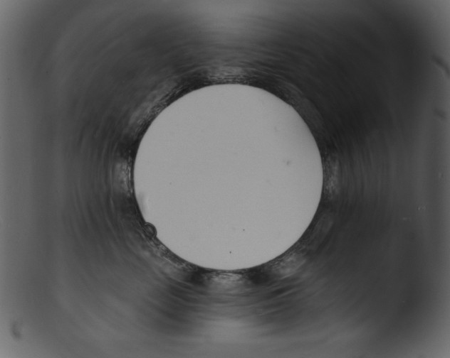 X0000103300669200809261314