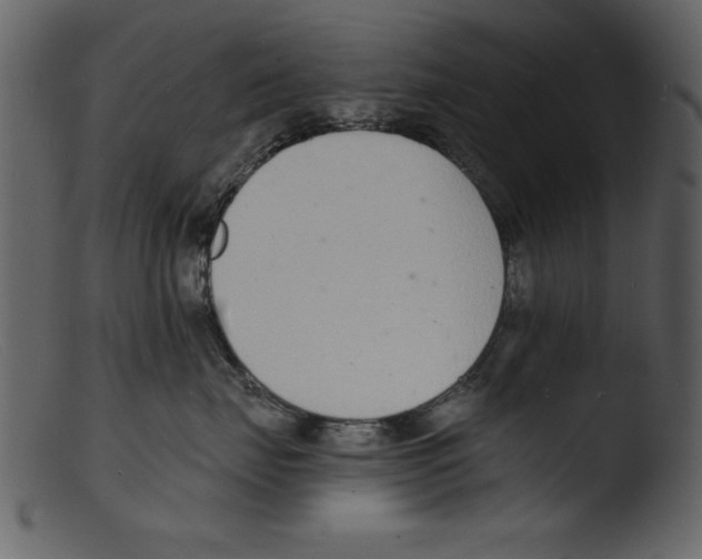 X0000103300671200809261315