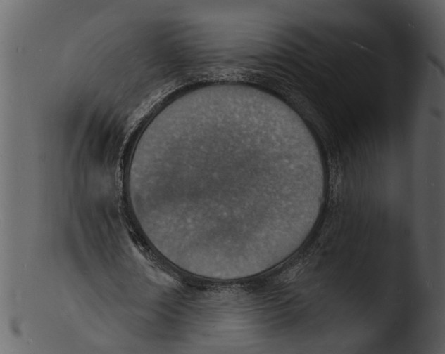 X0000103300674200809261314
