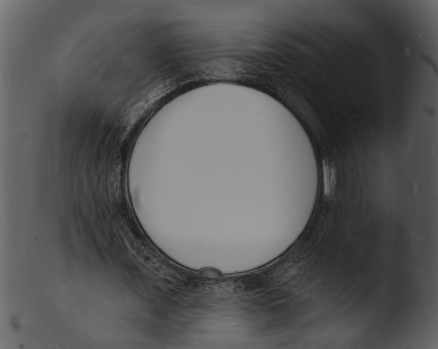 X0000103300675200809261314