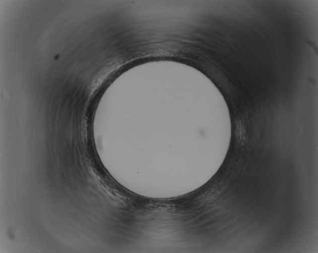 X0000103300676200809261314