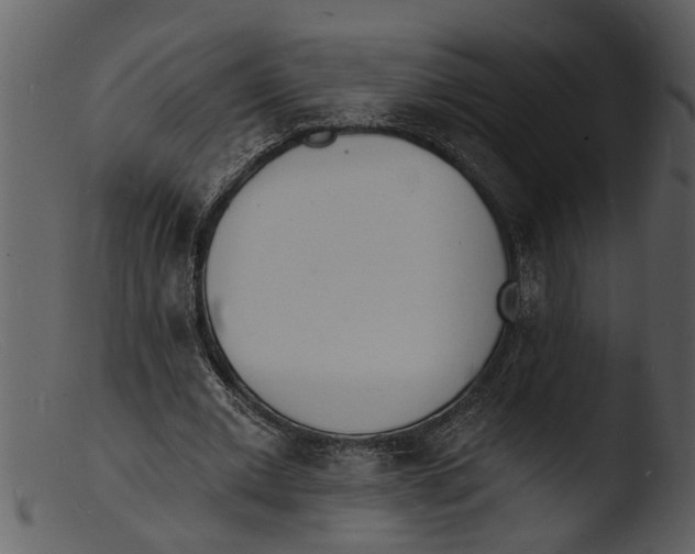 X0000103300677200809261314
