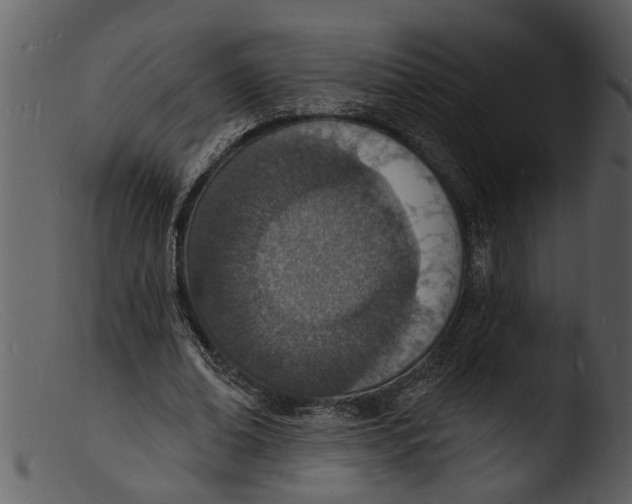 X0000103300678200809261314