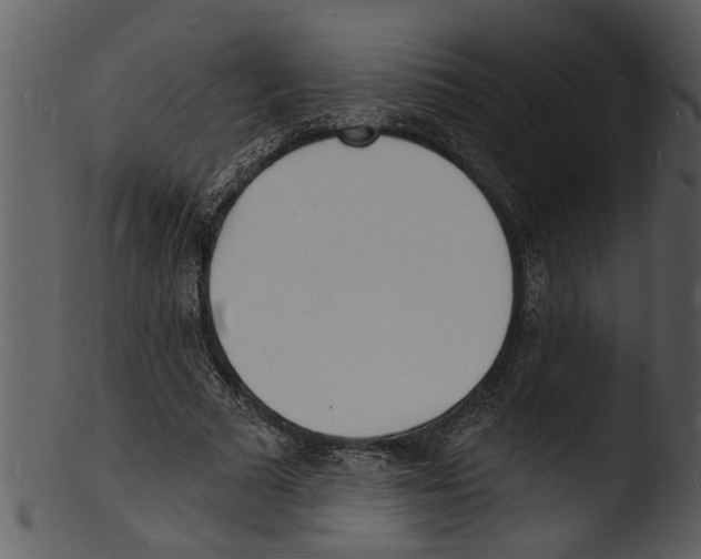 X0000103300681200809261314
