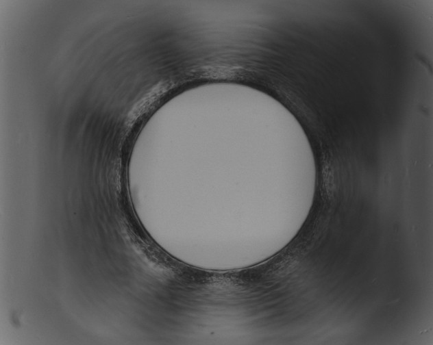 X0000103300682200809261314