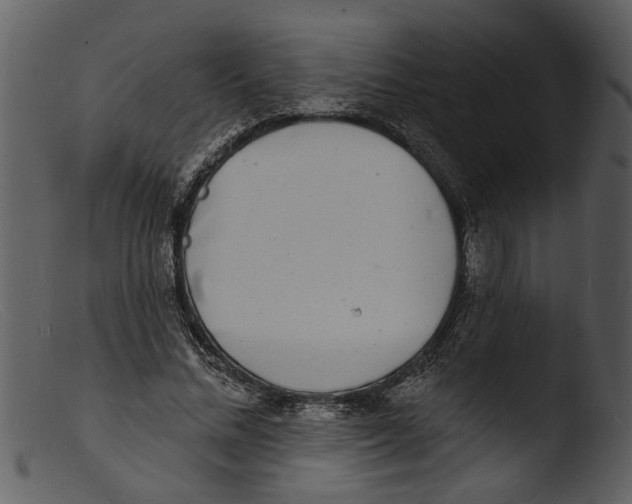 X0000103300684200809261314