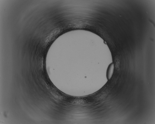X0000103300685200809261314