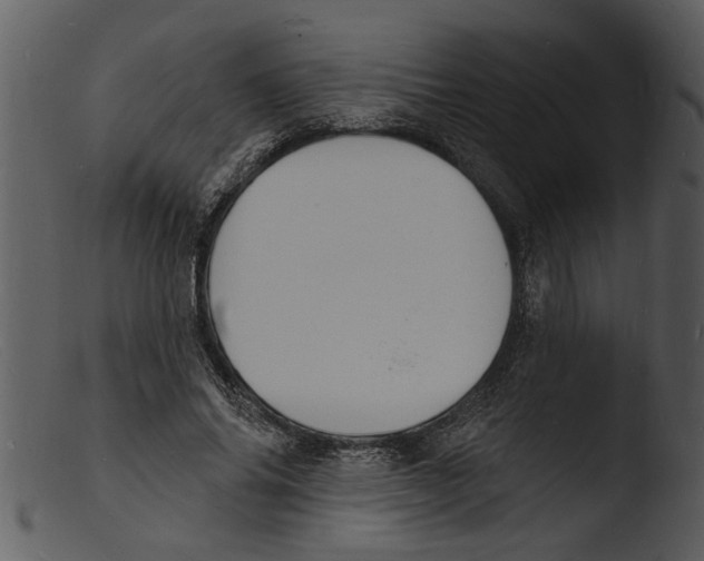 X0000103300686200809261314